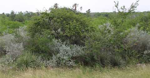 Cenesia Dr, Sandia, TX 78383