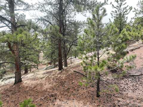 255 Pinon Lane, Florissant, CO 80816