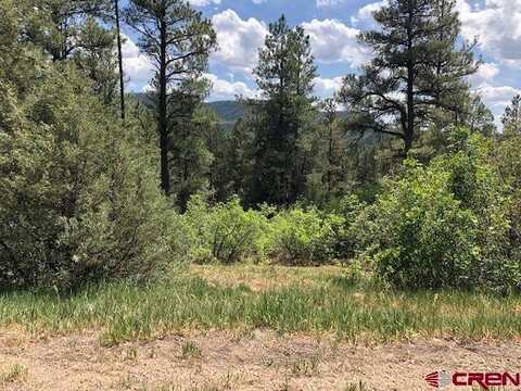 596 Ginger Circle, Pagosa Springs, CO 81147