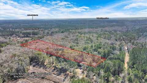 4.9+/- Ac E/S Steve Nelson Road, Townsend, GA 31331