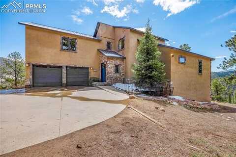 239 Wildlife Point, Divide, CO 80814