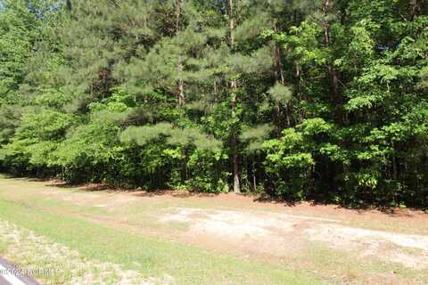 Lot 75 See View Lane, Hertford, NC 27944