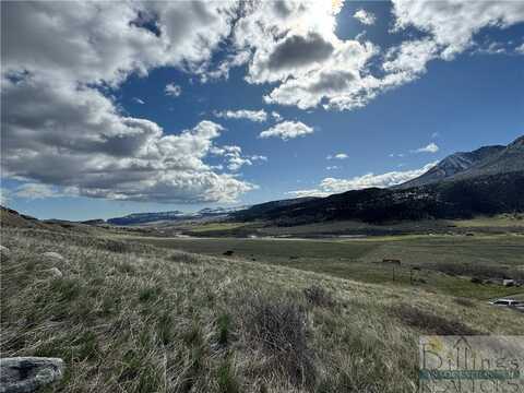 Lot 12 Elk Park Trail, Nye, MT 59061