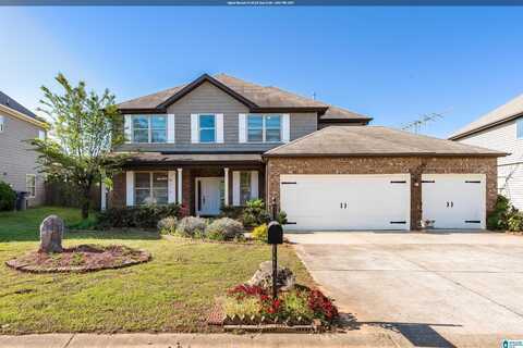 457 BLACKBERRY BOULEVARD, SPRINGVILLE, AL 35146