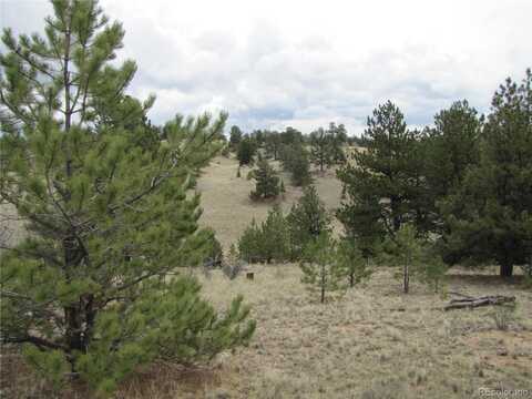319 Superstition Trail, Hartsel, CO 80449