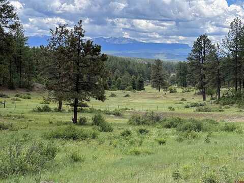 Esmt X (Lot32) Piney Place, Pagosa Springs, CO 81147