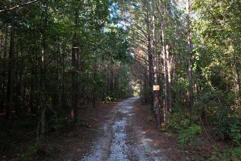 River Road, CHATSWORTH, GA 30705