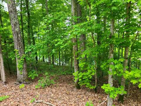 Lot #34 Lakeview Drive, Burnside, KY 41519