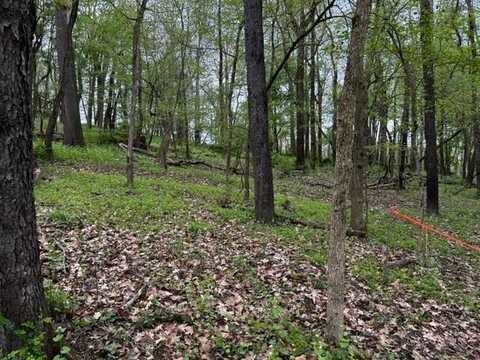 Lot 216 Thompsonville Road, Peters Township, PA 15317