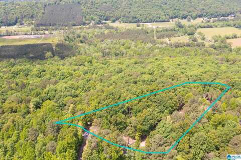 0 BEAVER CREEK ROAD, REMLAP, AL 35133