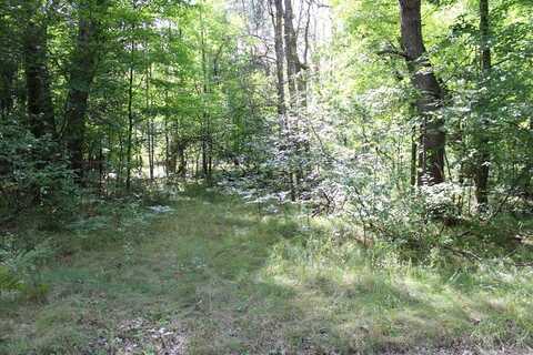 Lot 1020 Teaberry, Farwell, MI 48622