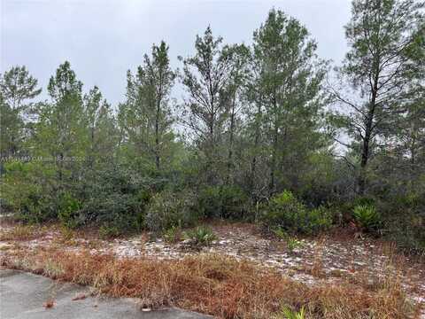 3330 LIANE (AKA PINE KNOLL) ROAD, Other City - In The State Of Florida, FL 33852