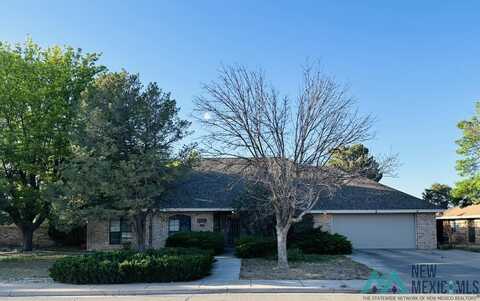 2 Vista Parkway Circle, Roswell, NM 88201
