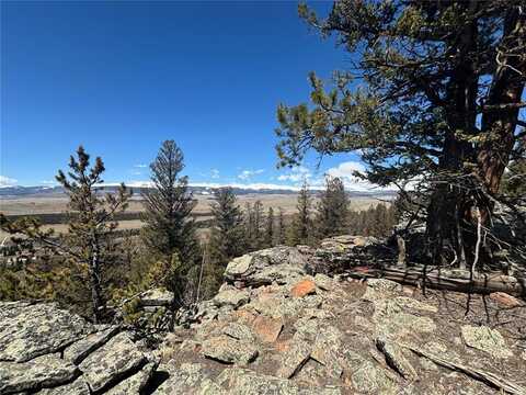 1631 MIDDLE FORK, Fairplay, CO 80440