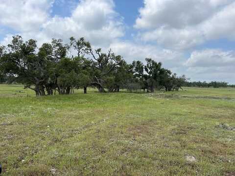 2966 Ranch Rd 783, Harper, TX 78631