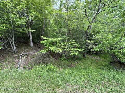 112 Forest Hill Drive, Fairfield Glade, TN 38558