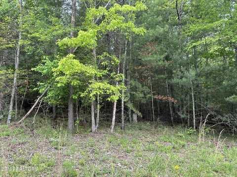114 Forest Hill Drive, Fairfield Glade, TN 38558