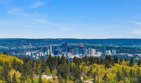 169Th, BELLEVUE, WA 98006