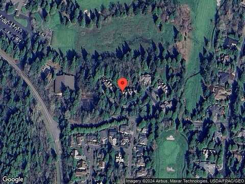 Snow Goose, BLAINE, WA 98230