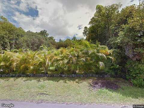 Palm Tree, MOUNTAIN VIEW, HI 96771