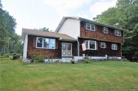 Big Hollow, GRAHAMSVILLE, NY 12740