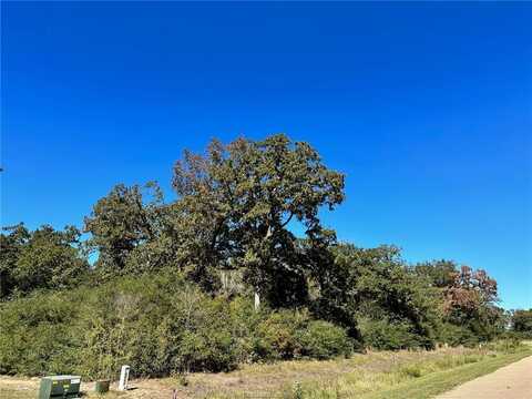 9598 Edinburg Trail, Iola, TX 77861