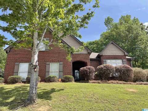 659 SOUTHERN TRACE PARKWAY, LEEDS, AL 35094