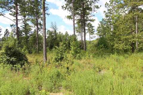 lot 15 Grant County Road 761, Sheridan, AR 72150