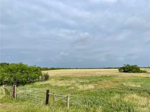 0 County Road 333, Beeville, TX 78102