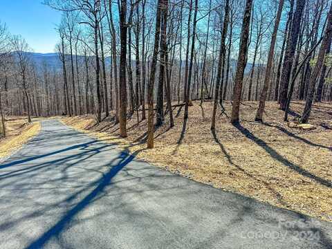 0000 Preservation View Lane, Flat Rock, NC 28731