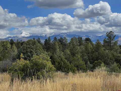 TBD 38 Road, Mancos, CO 81328