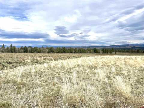 700 Cinnamon Trail, Powderhorn, CO 81243