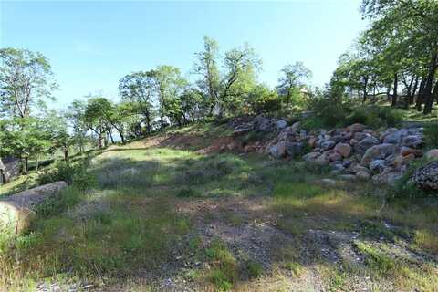 12030 Shenandoah Road, Loch Lomond, CA 95461