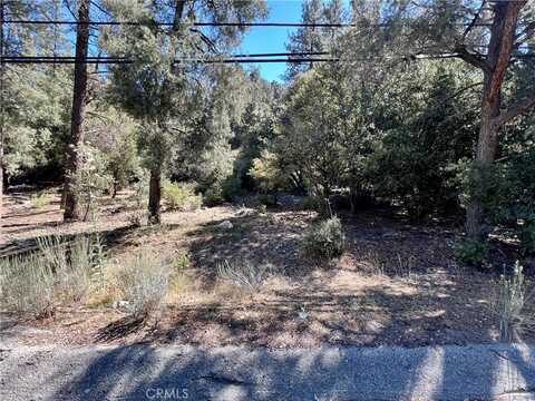 15718 Mil Potrero Hwy, Pine Mountain Club, CA 93222