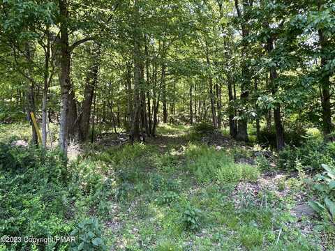 lot 11 Dyson Road, Swiftwater, PA 18370