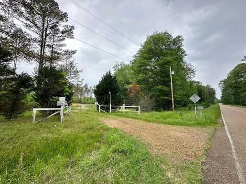 1 Dry Grove Rd, Terry, MS 39170