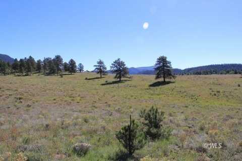 Tract 5 Patriot Circle, Westcliffe, CO 81252