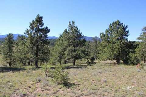 Tract 4 Patriot Circle, Westcliffe, CO 81252