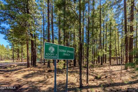 4583 SKY HI Road, Pinetop, AZ 85935