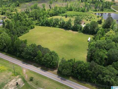 0 MONTGOMERY HIGHWAY, CENTREVILLE, AL 35042