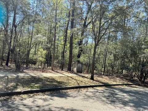 Lot 1061 Duany Dr., Georgetown, SC 29440