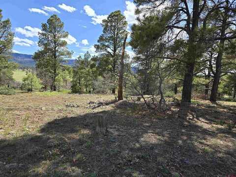 484 Prospect Blvd, Pagosa Springs, CO 81147