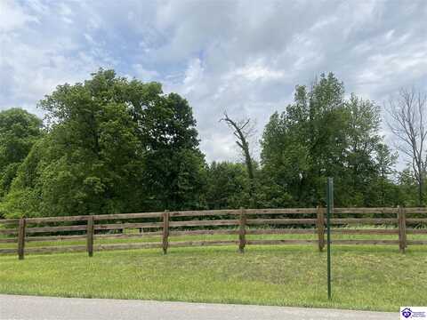 Lot 2C Overall Phillips Road, Elizabethtown, KY 42701
