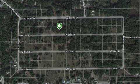 8333 W ELAINE ST, Other City - In The State Of Florida, FL 34428