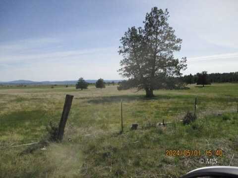 PARCEL-3-4 Bowman and Rager Rd., Alturas, CA 96101