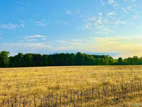 24 Acres Sewell Road, Athens, AL 35614