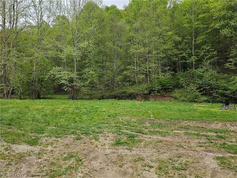 6605 CLAY RD TRLR, Looneyville, WV 25259