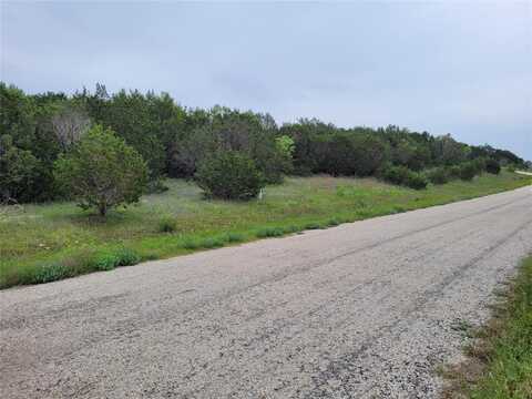 520 Lighthouse Drive, Bluff Dale, TX 76433