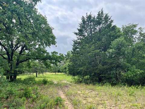 Lot 29 Galway Rd, Poolville, TX 76487