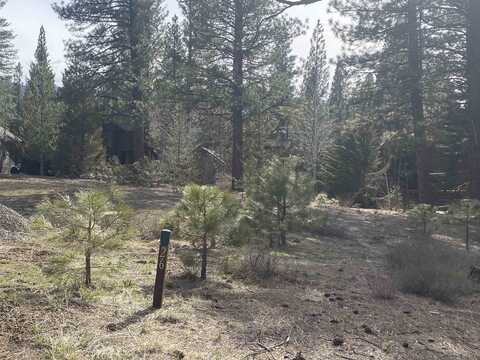 62 Forest Heights, Clio, CA 96106
